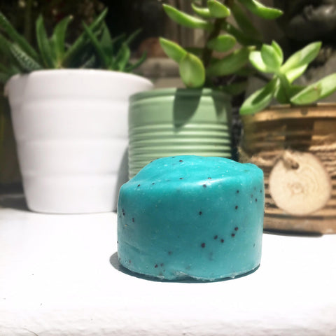 Peppermint and Rosemary Handsoap